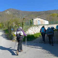 P1200083  Mt. Crocetta, alt. m. 900. Baldo sud.